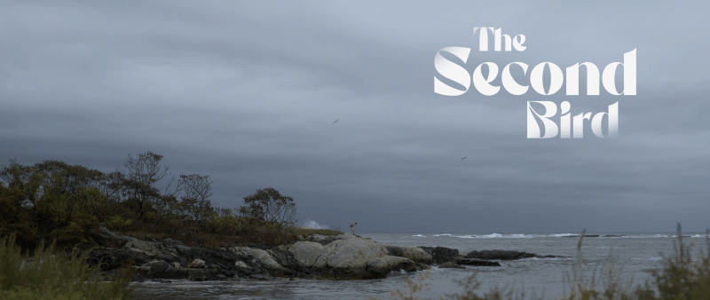 The Second Bird - Promo Image