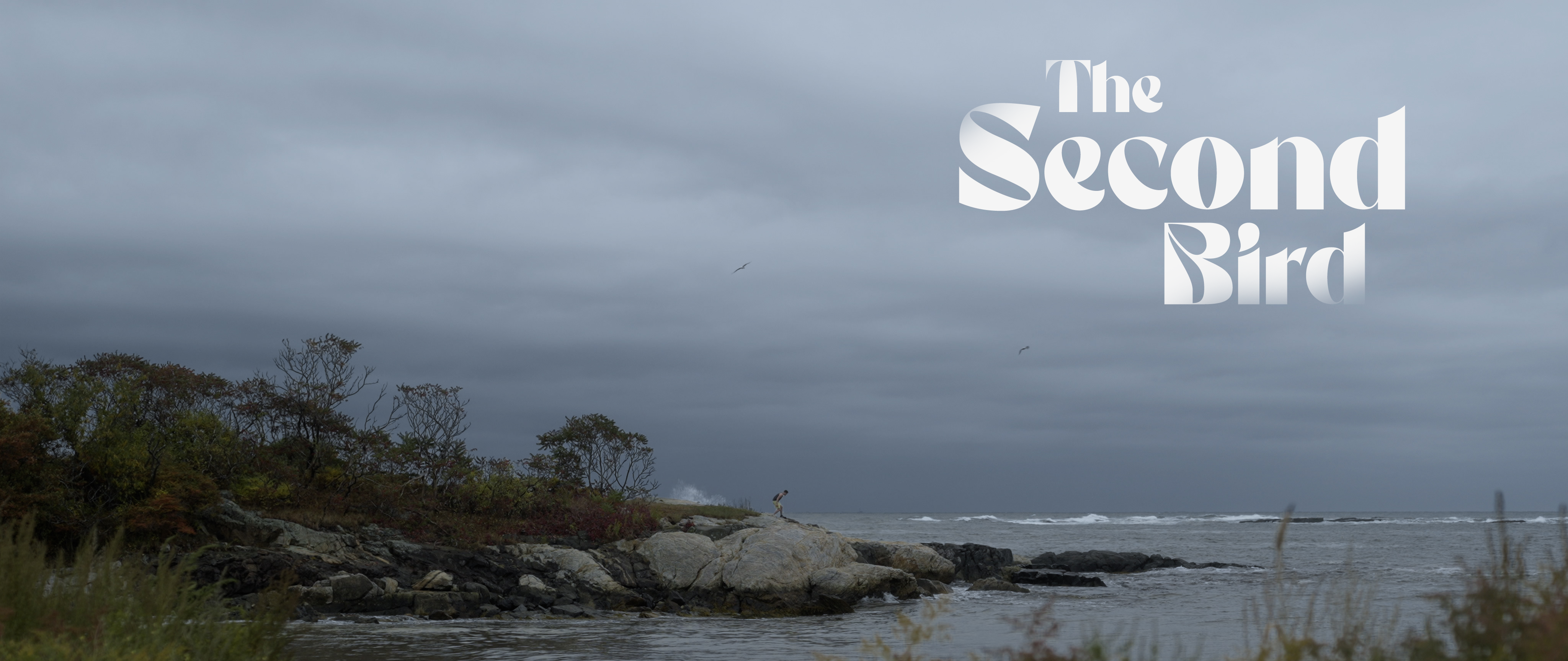 The Second Bird - Promo Image