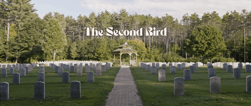 The Second Bird - Promo Image