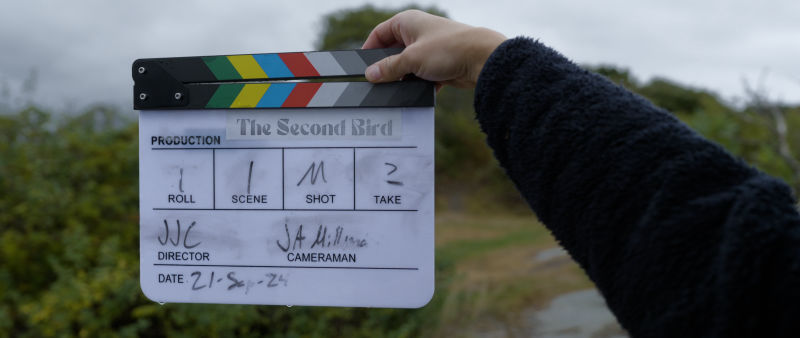 The Second Bird - Promo Image